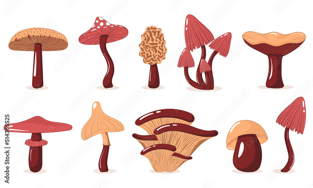 Collection of simple edible and poisonous mushrooms in flat style