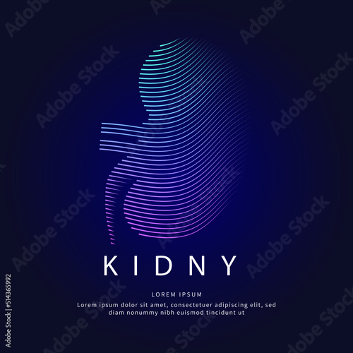 Human kidney medical structure. Vector logo kidney color silhouette on a dark background. EPS 10 photo