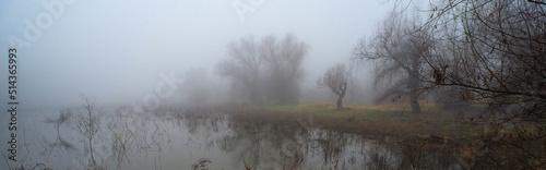 Creepy landscape showing misty dark swamp in autumn 