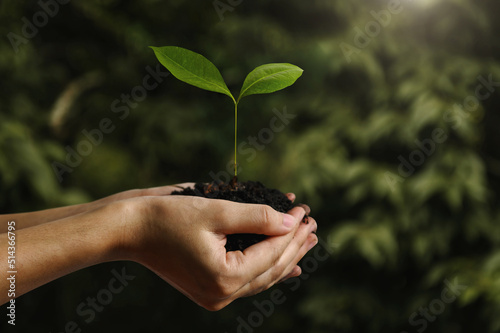 hand children holding young plant with sunlight on green nature background. concept eco earth day.