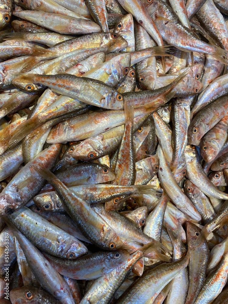 Natural background of fresh lamb fish close-up Natural background of fresh lamb fish close-up
