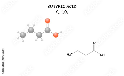 Stylized molecule model/structural formula of butyric acid.