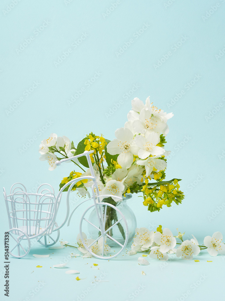 jasmine flowers on blue background top view. frame with jasmine flowers and space for text. delicate background with white jasmine flowers. white flowers flat lay.