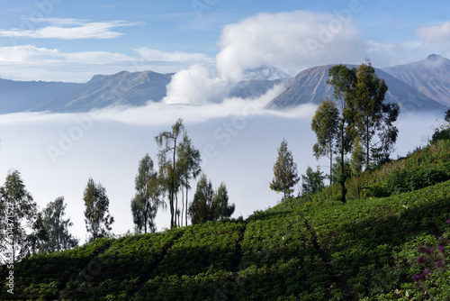 Fertile farming land around active volcanoe photo