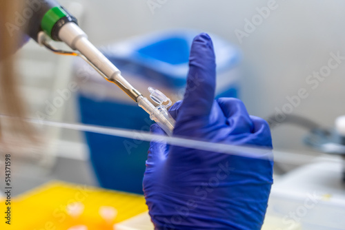 Scientist pipetting sample into vial for DNA testing. Scientist loads samples DNA monkeypox amplification by PCR into plastic strip tubes. Biochemistry specialist works with lab equipment