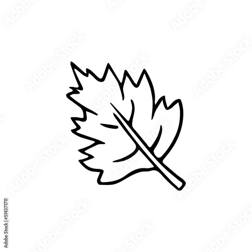 Doodle leaf, hand drawn quickly painted autumn symbol. Sketch,freehand minimalistic design, child drawing.Isolated.Vector illustration