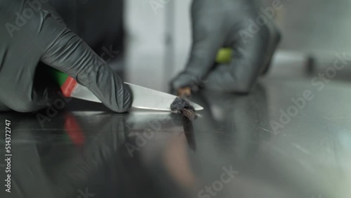 Vanilla seeds extraction