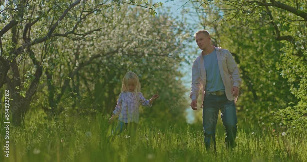 man and his preschooler daughter are walking together in blooming orchard in spring, 4K, Prores man and his preschooler daughter are walking together in blooming orchard in spring, 4K, Prores