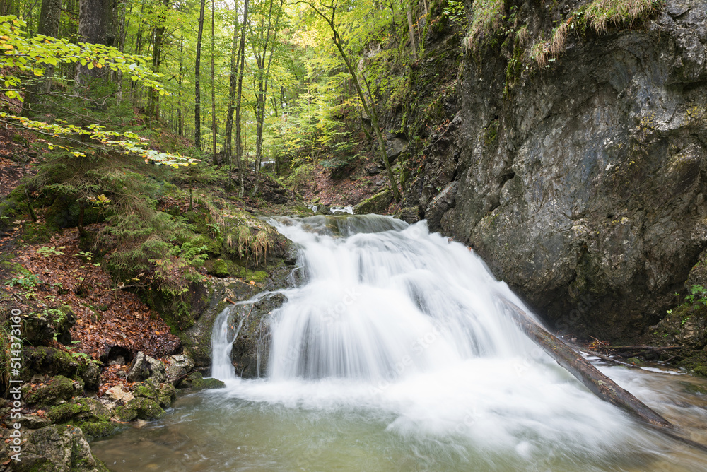 water cascade in the forest