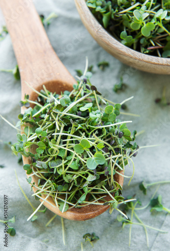 Fresh organic micro green on table photo