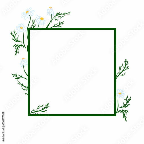 Wallpaper Mural hand drawn camomile flower Sketch vintage style. Design template. Vector illustration Torontodigital.ca