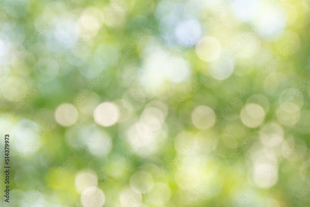 Natural green bokeh abstract background Natural green bokeh abstract background