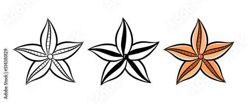 Starfish vector icon set. Isolated graphic logo design element. Ocean star fish silhouette. Aquatic sea wildlife animal. Doodle monochrome drawing template. Outline sketch sticker.