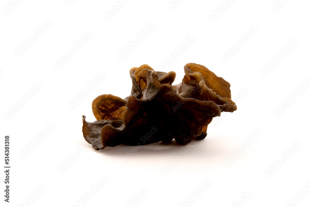 black mushroom black mushroom