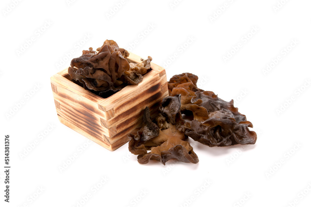 Obraz premium black mushroom