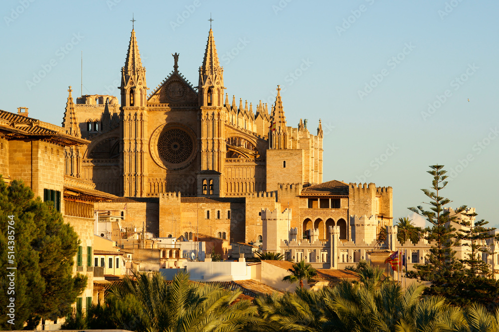 Catedral de Mallorca desde la terraza d' es Baluard (Museu d'art modern i contemporani de Palma).Palma.Mallorca.Islas baleares.España.