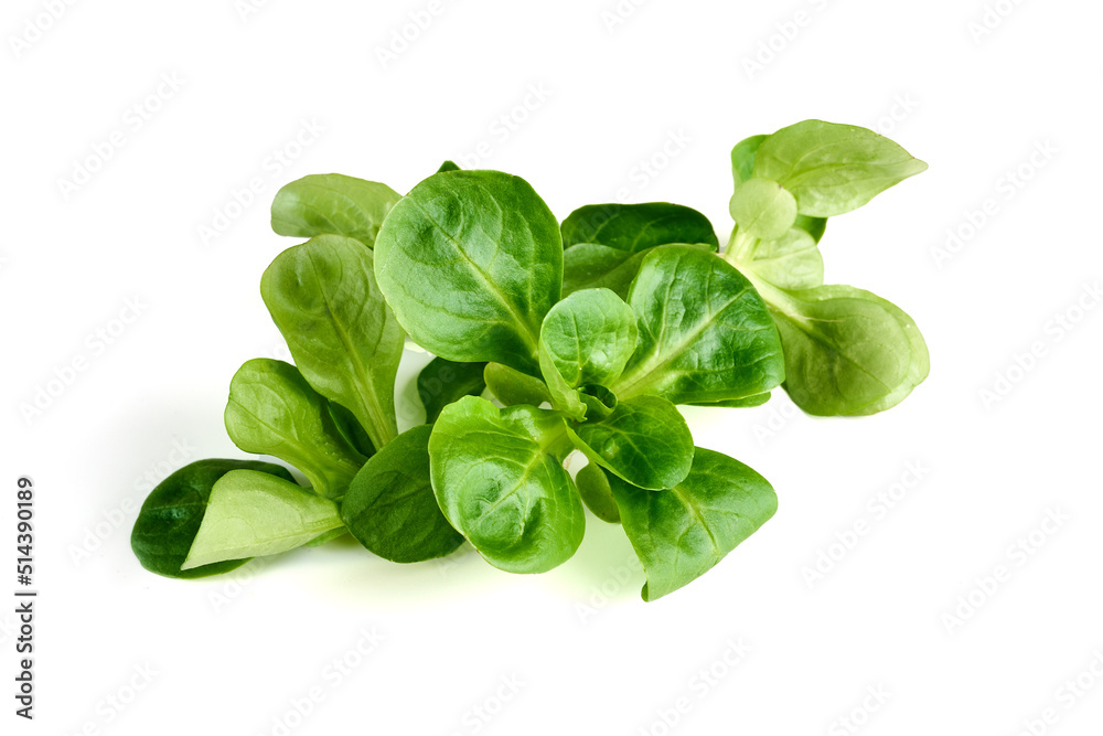 Spinach salad, isolated on white background.