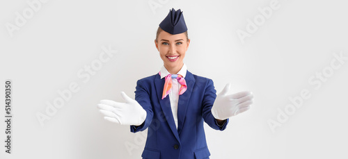 Beautiful stewardess on lig...