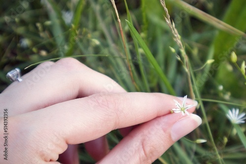 Frau pflückt Blume