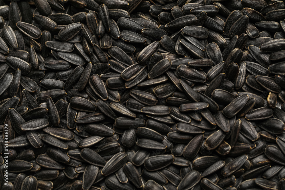 Black sunflower seeds as background