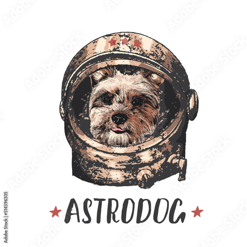 Yorkshire Terrier astrodog portrait. Cute space dog. Vector illustration