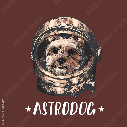 Yorkshire Terrier astrodog portrait. Cute space dog. Vector illustration photo