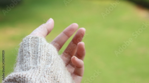 hand holding a grass