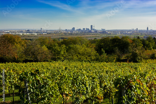 Skyline Of The City Vienna In Austria With Green Hills And Vineyards