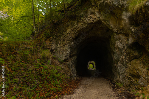 Tunnels in the ex Reichraming narrow gauge railway  small gauge forest railway in central austria. Visible two tunnel portals.