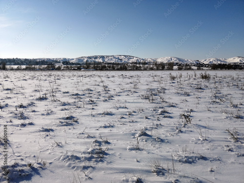 winter landscape with snow