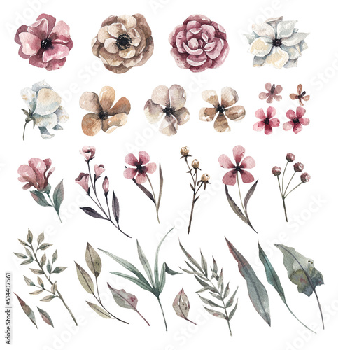 Collection of flowers  herbs and twigs hand drawn watercolor isolated on white background. Floral  watercolor elements for design  watercolor clipart.