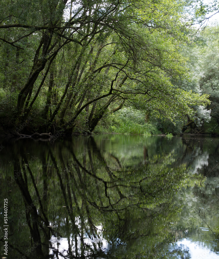 Green forest bent over the reflection of a calm river Green forest bent over the reflection of a calm river