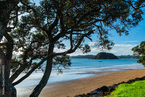 Fototapeta Naklejka Na Ścianę i Meble -  ニュージーランド　ベイ・オブ・アイランズのパイヒアのビーチの朝の風景