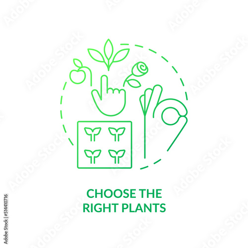 Choose right plants green gradient concept icon. Place and condition. Growing plants. Gardening tip abstract idea thin line illustration. Isolated outline drawing. Myriad Pro-Bold font used
