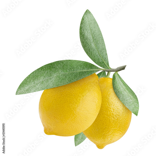 Two delicious lemons with leaves, isolated on white background