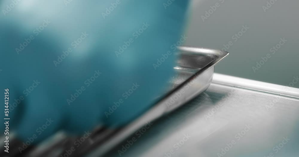 Dental instruments lie on a sterilized dental tray. Dentist's hands in medical gloves take a dental mirror Dental instruments lie on a sterilized dental tray. Dentist's hands in medical gloves take a dental mirror