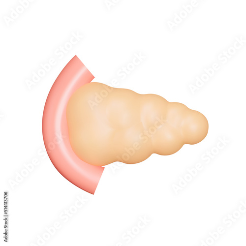 Pancreas 3d icon. Isolated object on a transparent background