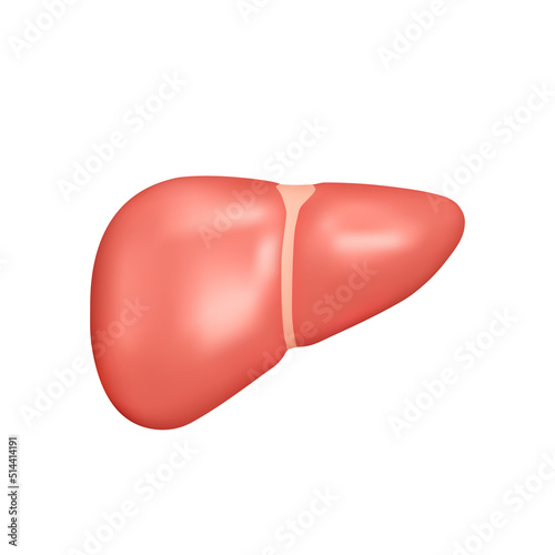 Liver 3d icon. Isolated object on a transparent background