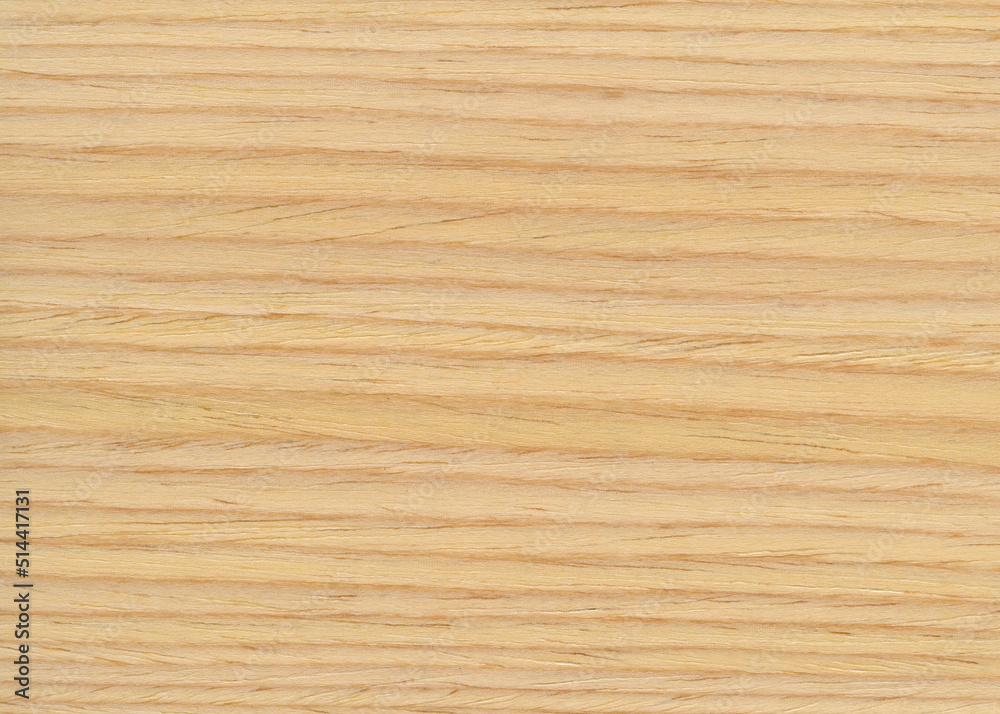 Background with wood texture. Wooden surface close up. Background with wood texture. Wooden surface close up.