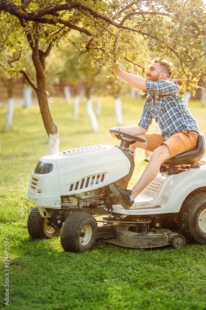 Professional gardner using lawn mower and premium tools for grass cutting Professional gardner using lawn mower and premium tools for grass cutting