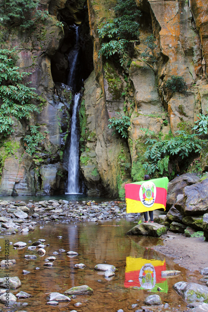 waterfall in the forest