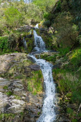 View of a small waterfall in the forest