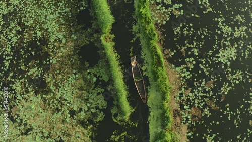 Aerial Viev of fisherman sails along the swamp, Rainawari, Srinagar, Jammu and Kashmir, India. photo