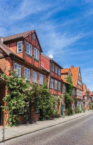 Flowers in front of houses in Eutin, Germany photo