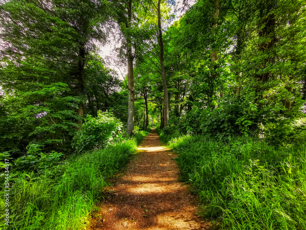 Fototapeta premium Castle Combe