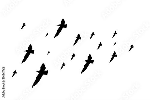 Flock of birds. Silhouette flying bird background Free Vector 