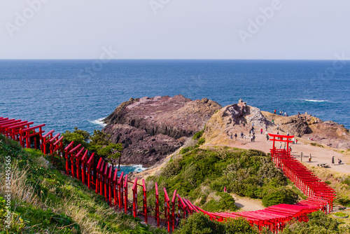 Obraz na płótnie 元乃隅神社(山口県長門市) w salonie