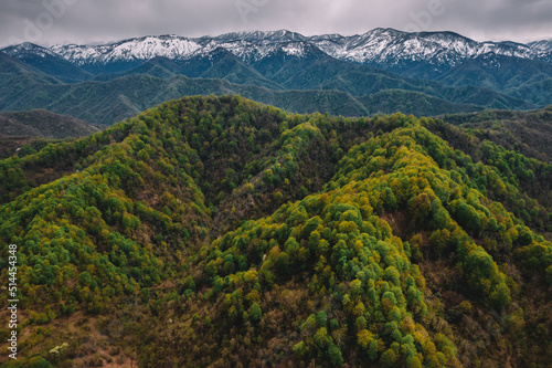 Fototapeta Naklejka Na Ścianę i Meble -  Green Mountain Forest And Snow On Top