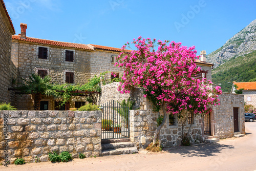 Traditional stone house decorated with flowers in Rijeka Rezevici. Montenegro, Europe