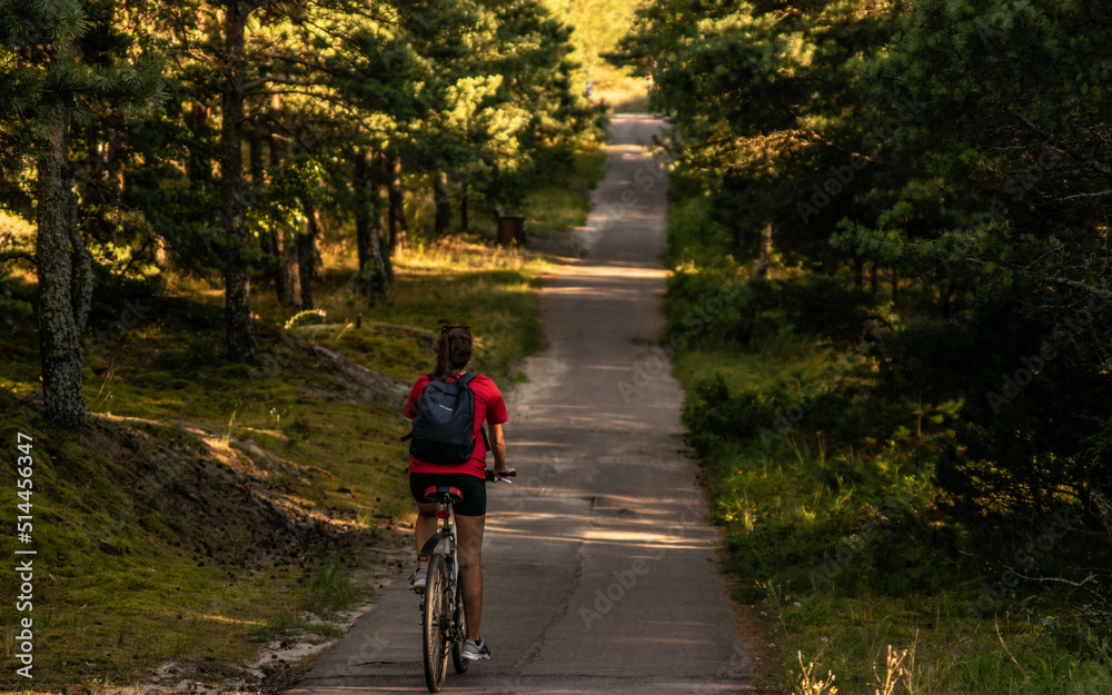 Fototapeta premium Person riding a bicycle in the forest